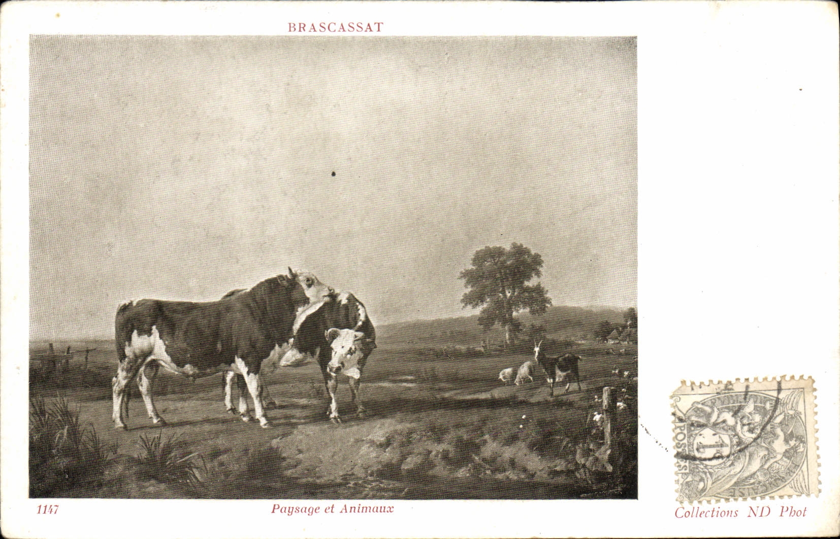 CPA Brascassat Paysage et Animaux 