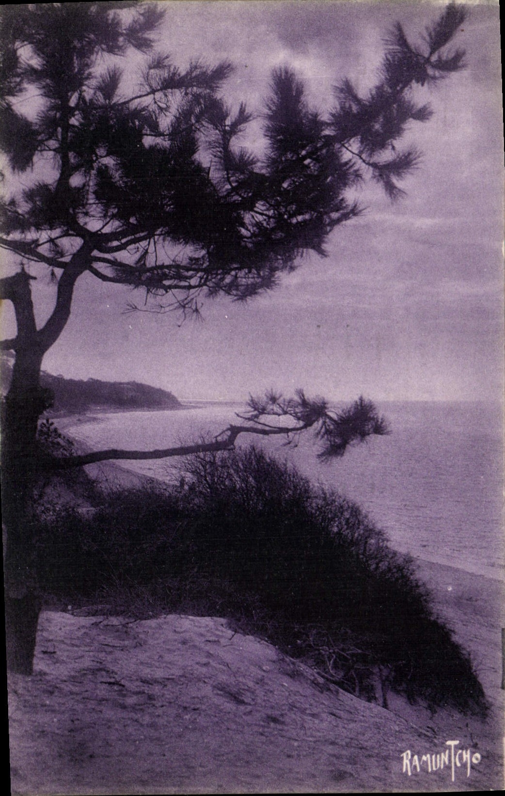 CPA Arcachon Cote du Moulleau 