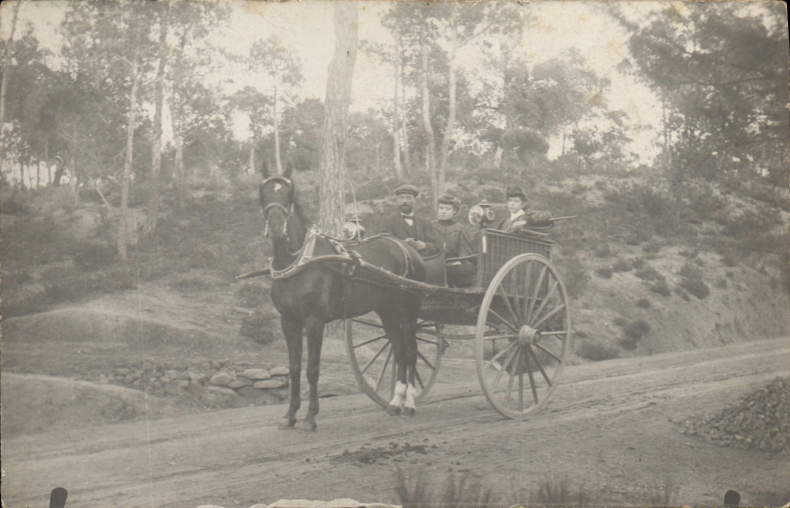CARTE PHOTO Attelage Cheval