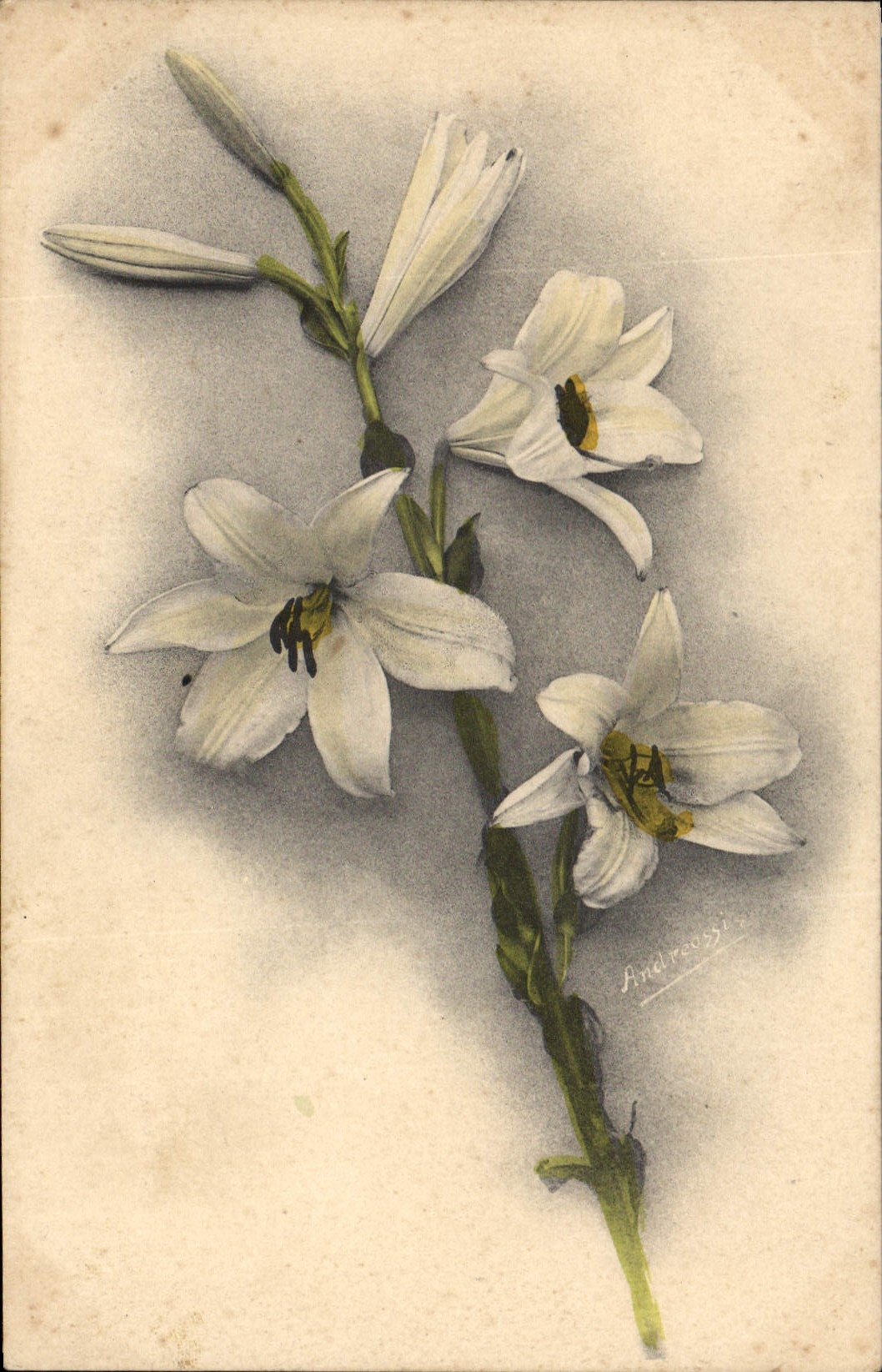 CPA Fantaisie Fleurs