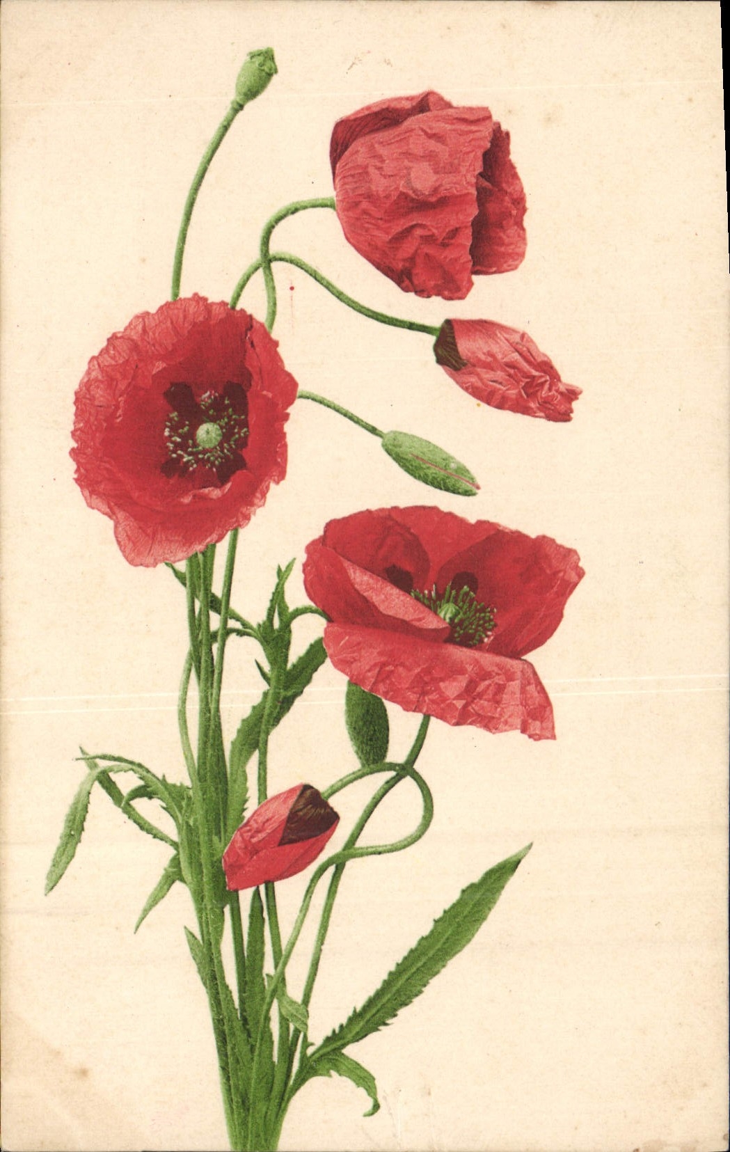 CPA Fantaisie Fleurs