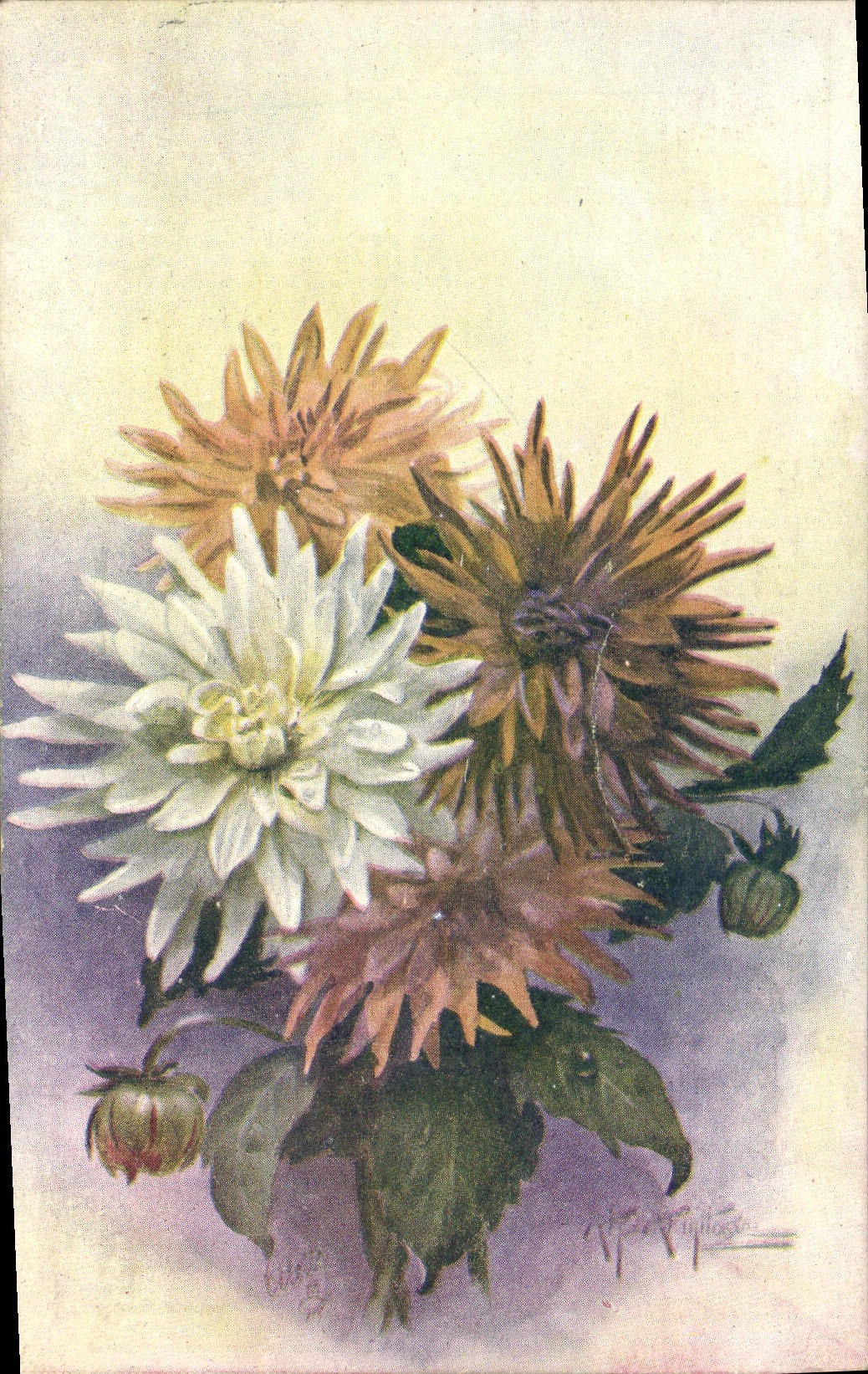 CPA Fantaisie Fleurs