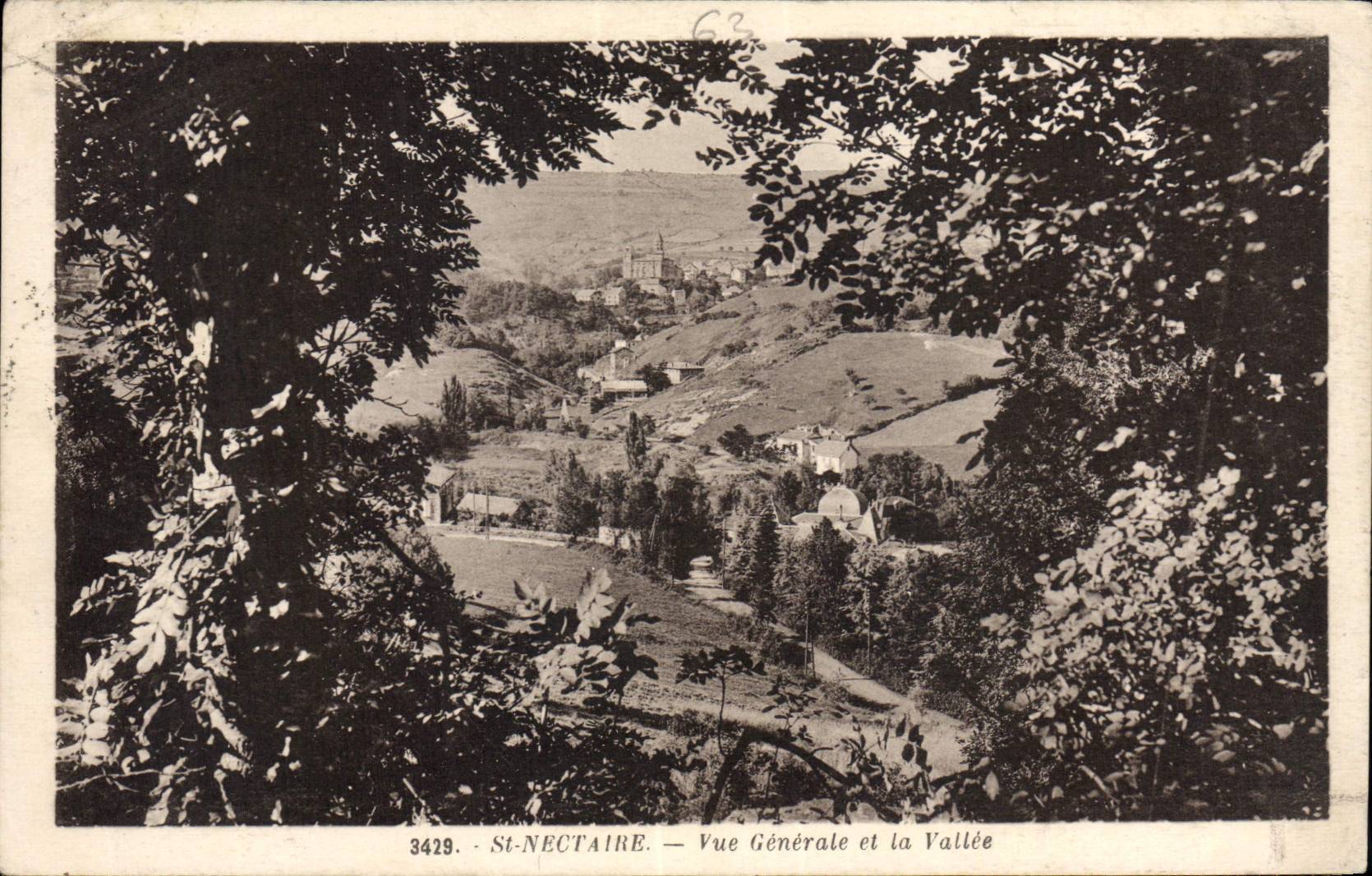 CPA St Nectaire Vue Generale et la Vallee