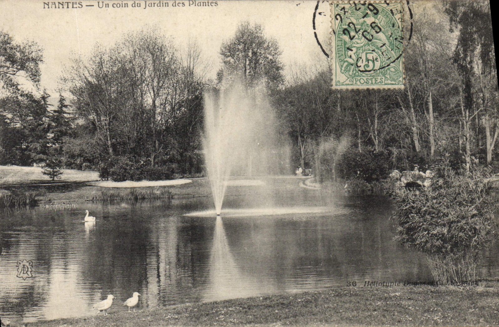 CPA Nantes Un coin du Jardin des Plantes 