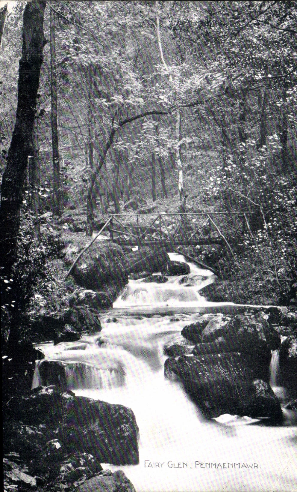 CPA Fairy Glenn Pemmaenmawr