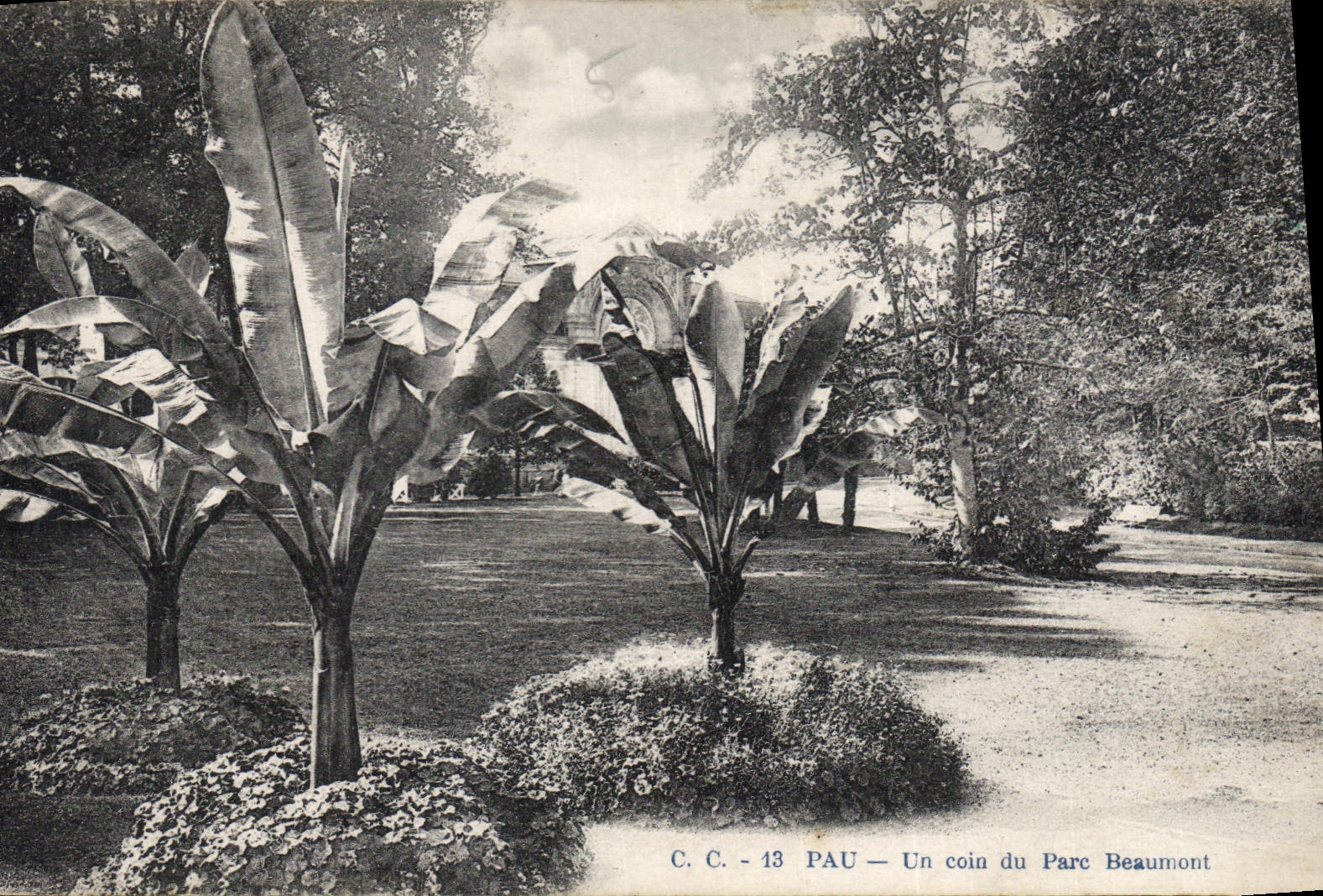 CPA Pau Un coin du Parc Beaumont 