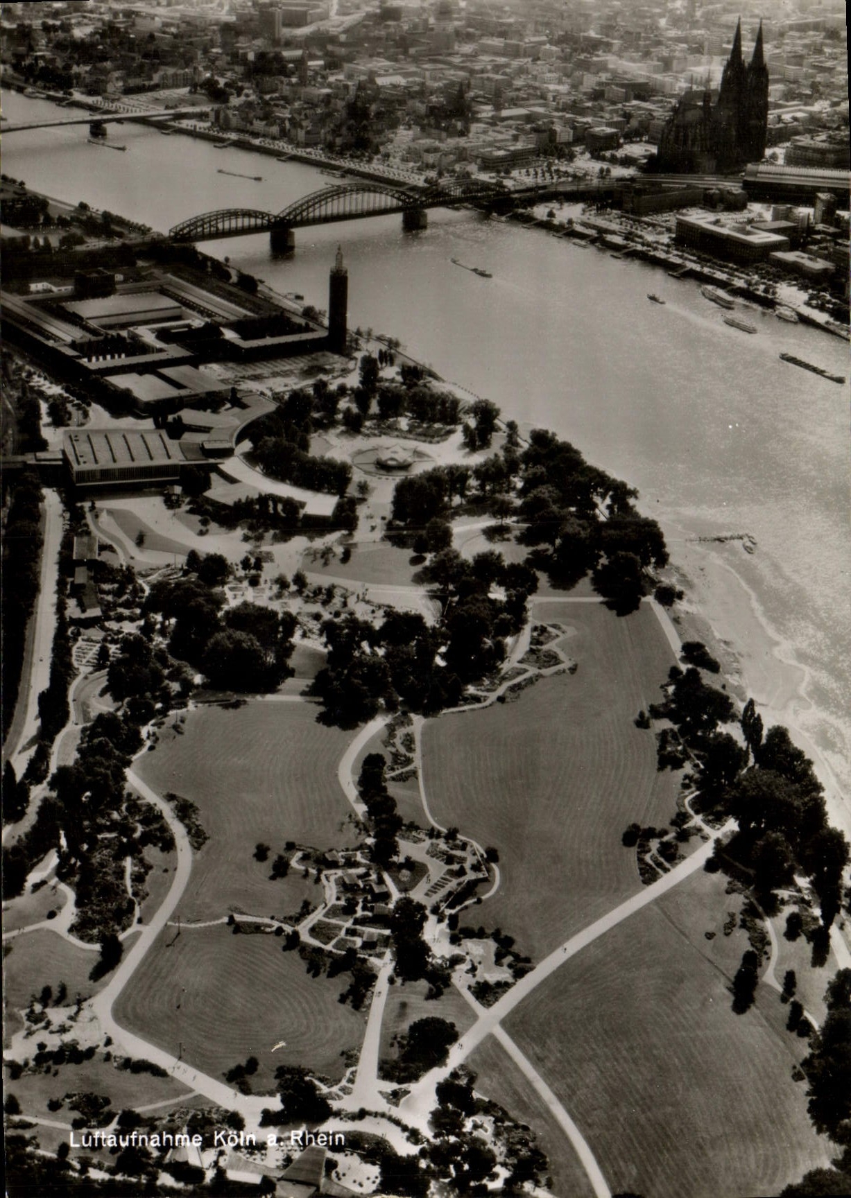 CPA Koln am Rhein Rheinpark mit Tanzbrunnen und Messegalande
