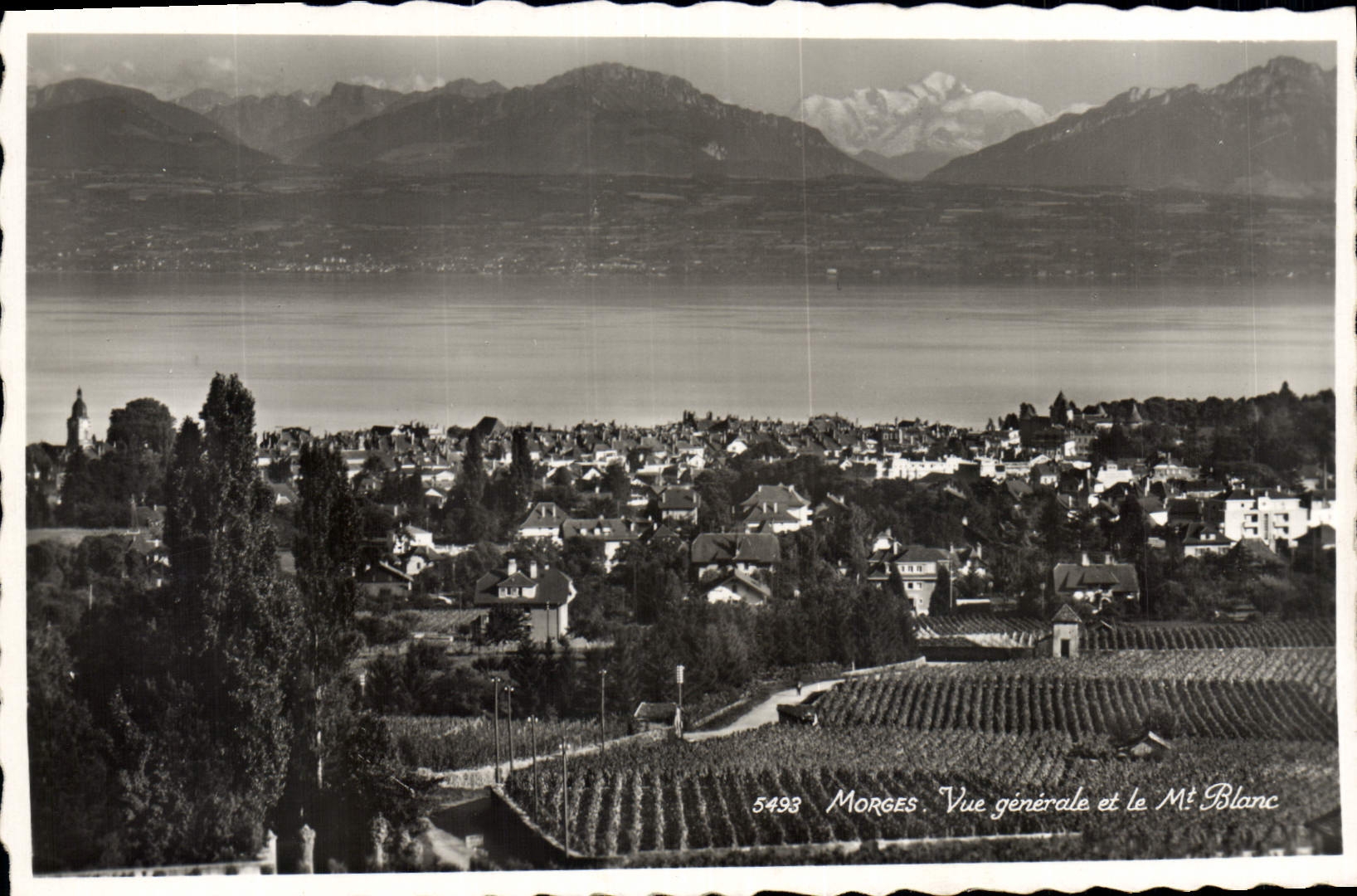 CPA Morges Vue generale et le Mt Blanc