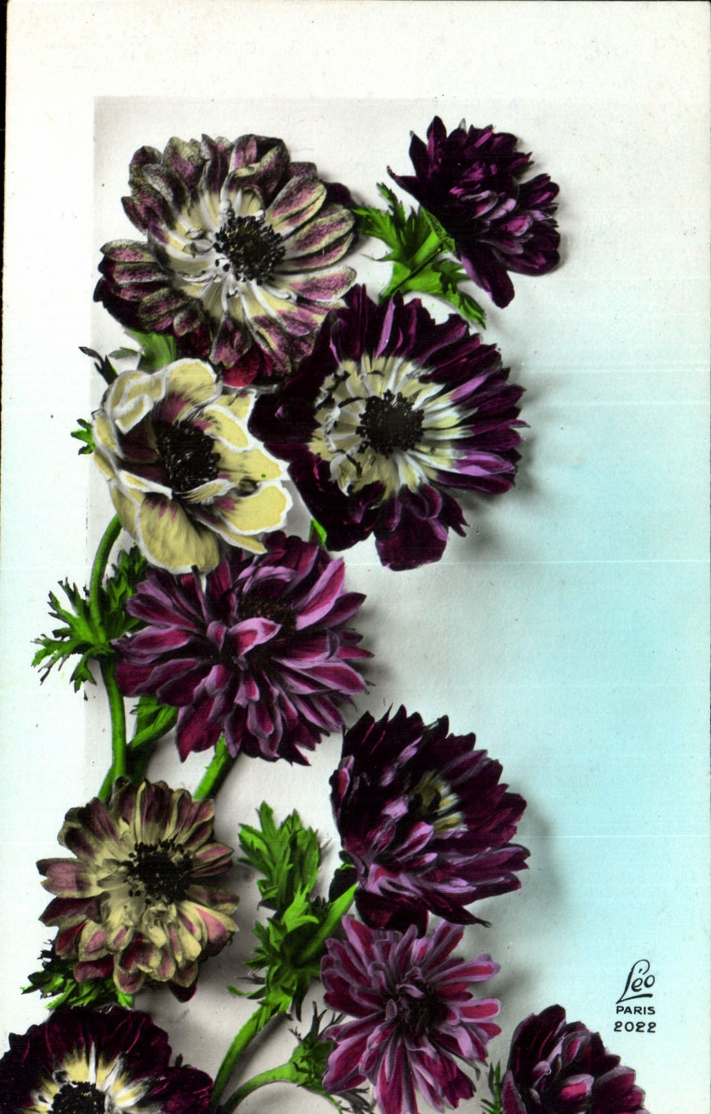 CPA Fantaisie Fleurs