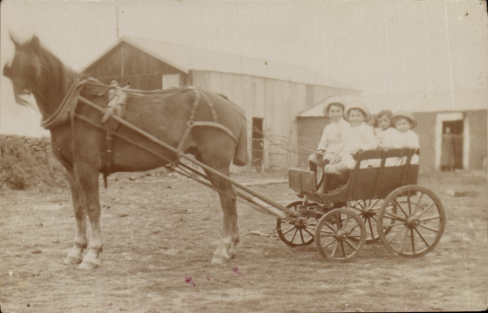 CARTE PHOTO Enfants Caleche