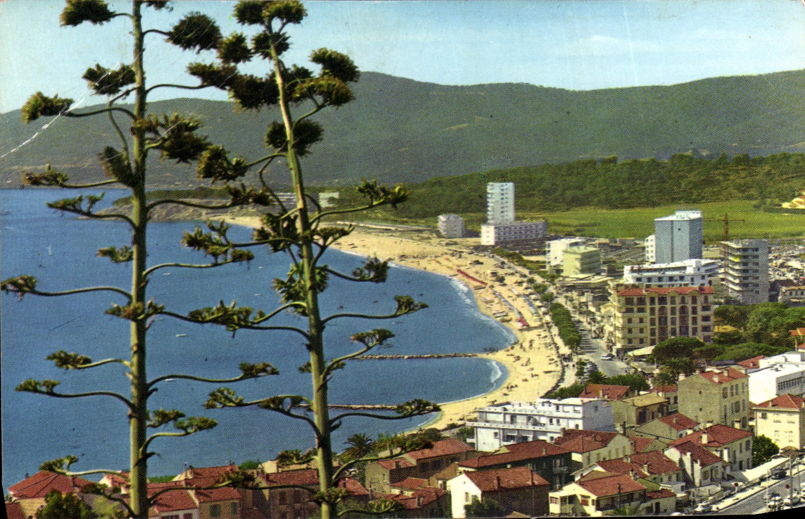 CPA La Cote d'Azur Le Lavandou Var Vue generale
