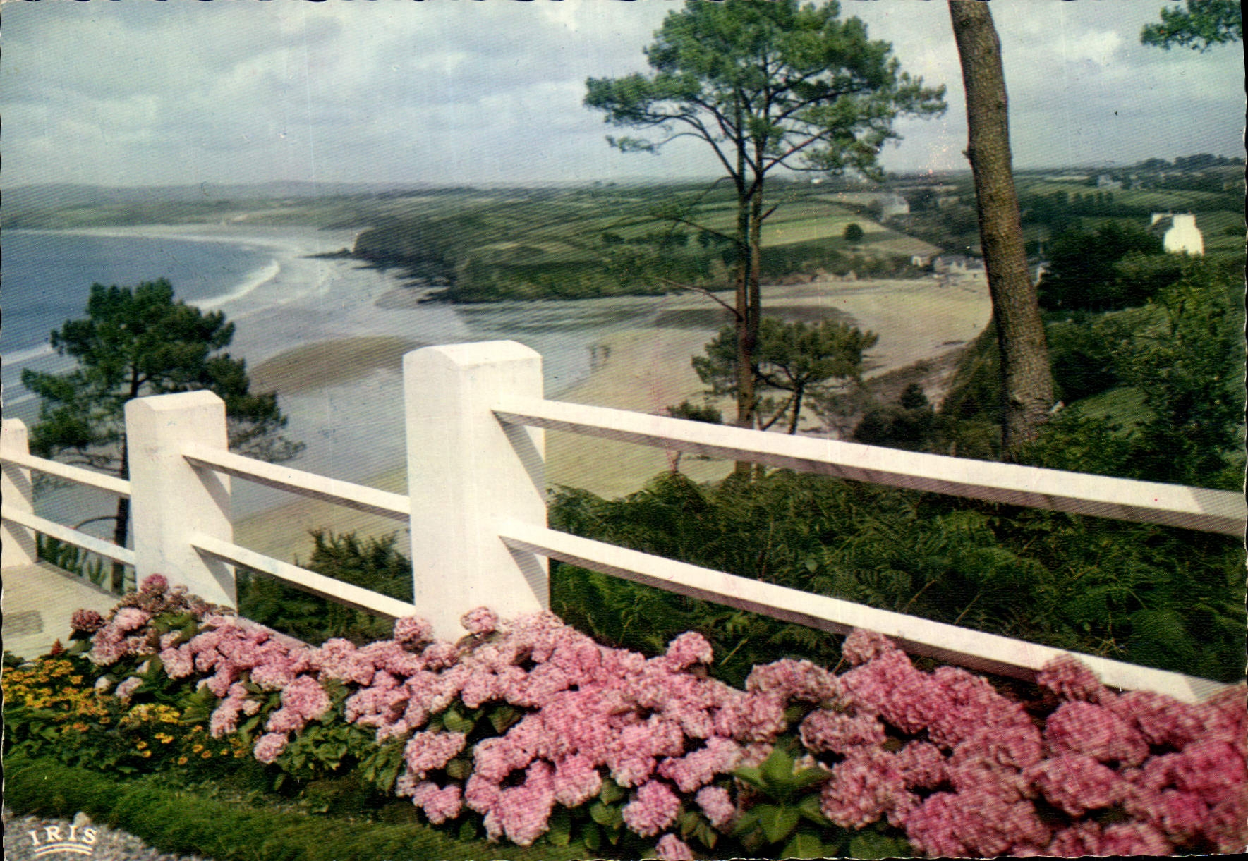 CPA La Cote Bretonne et les Fleurs