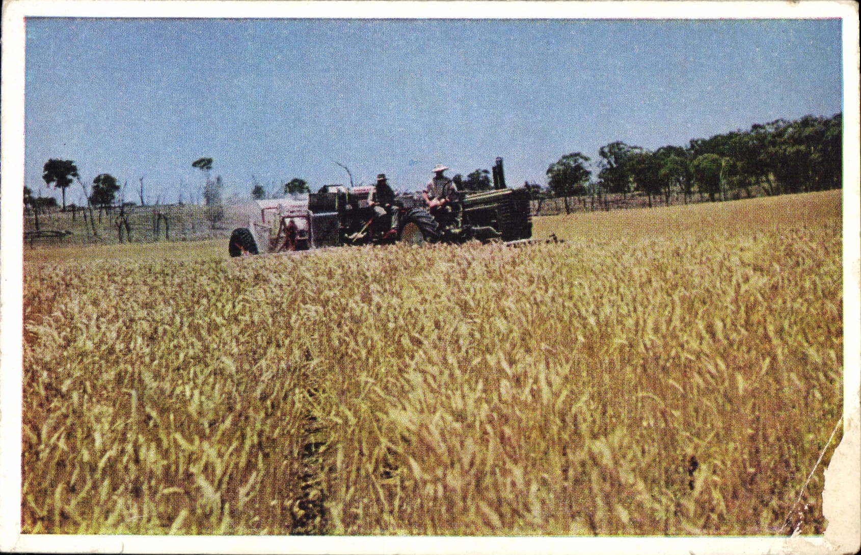 CPM Australie 