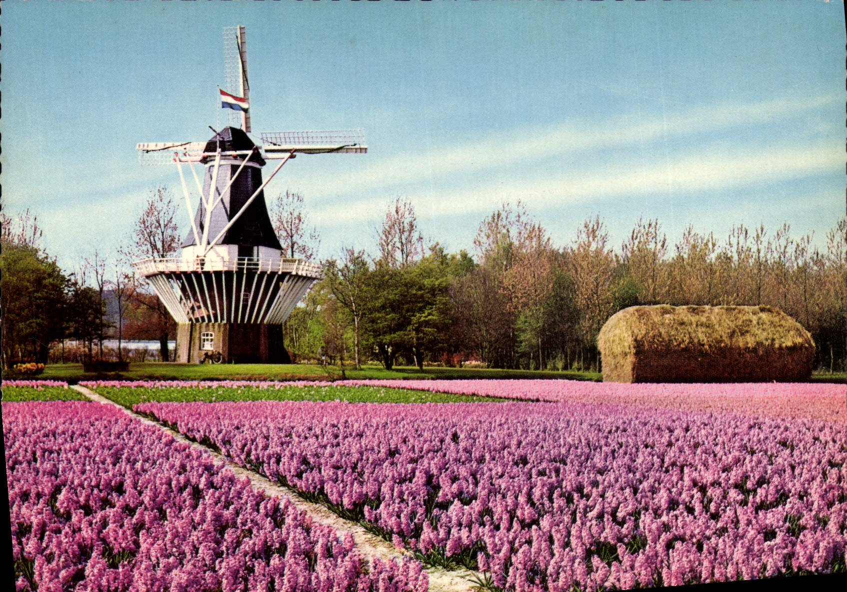 CPM Holland Bloginenland Molenland Moulin a vent