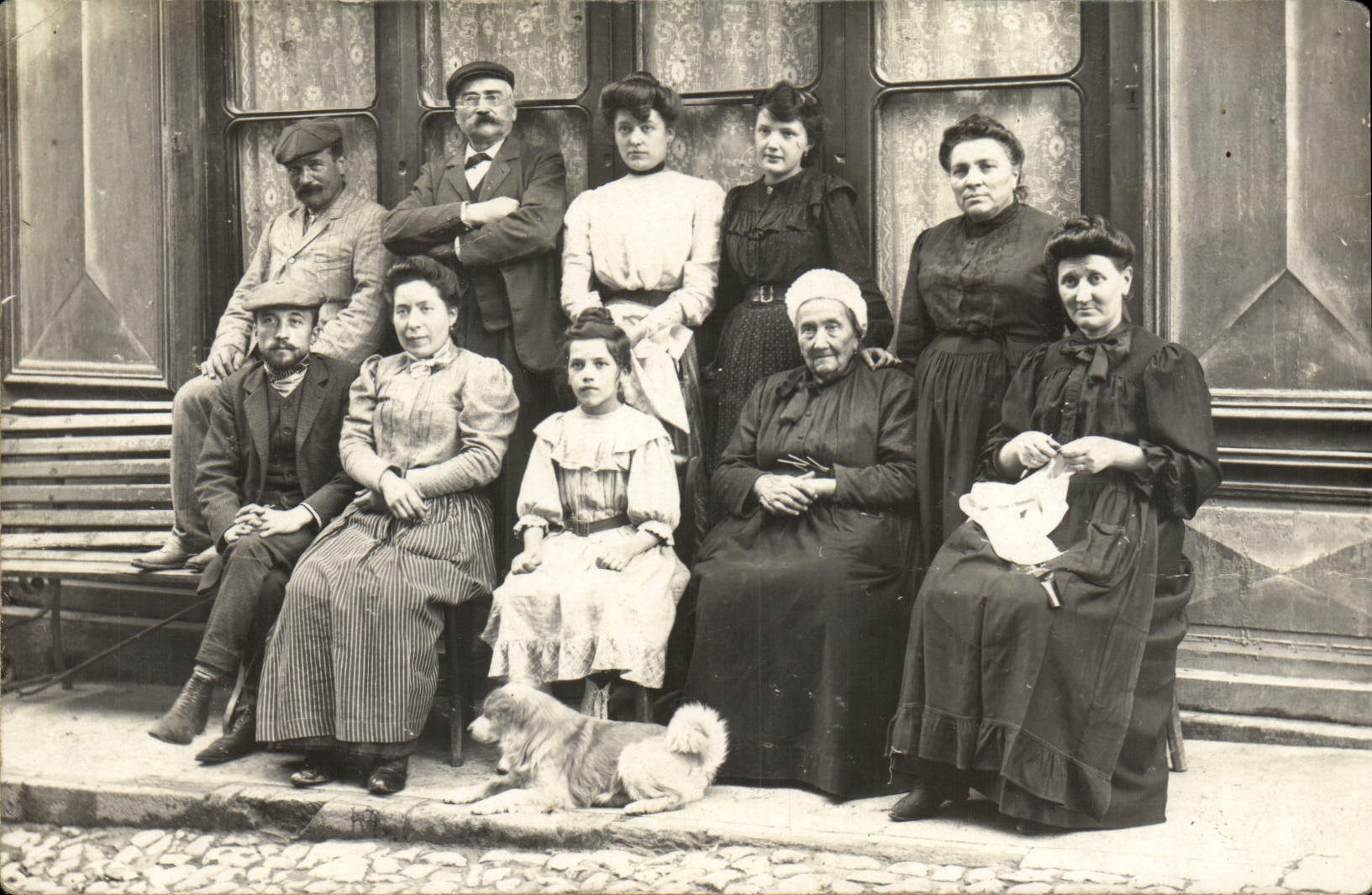 CARTE PHOTO Femmes Hommes Chien