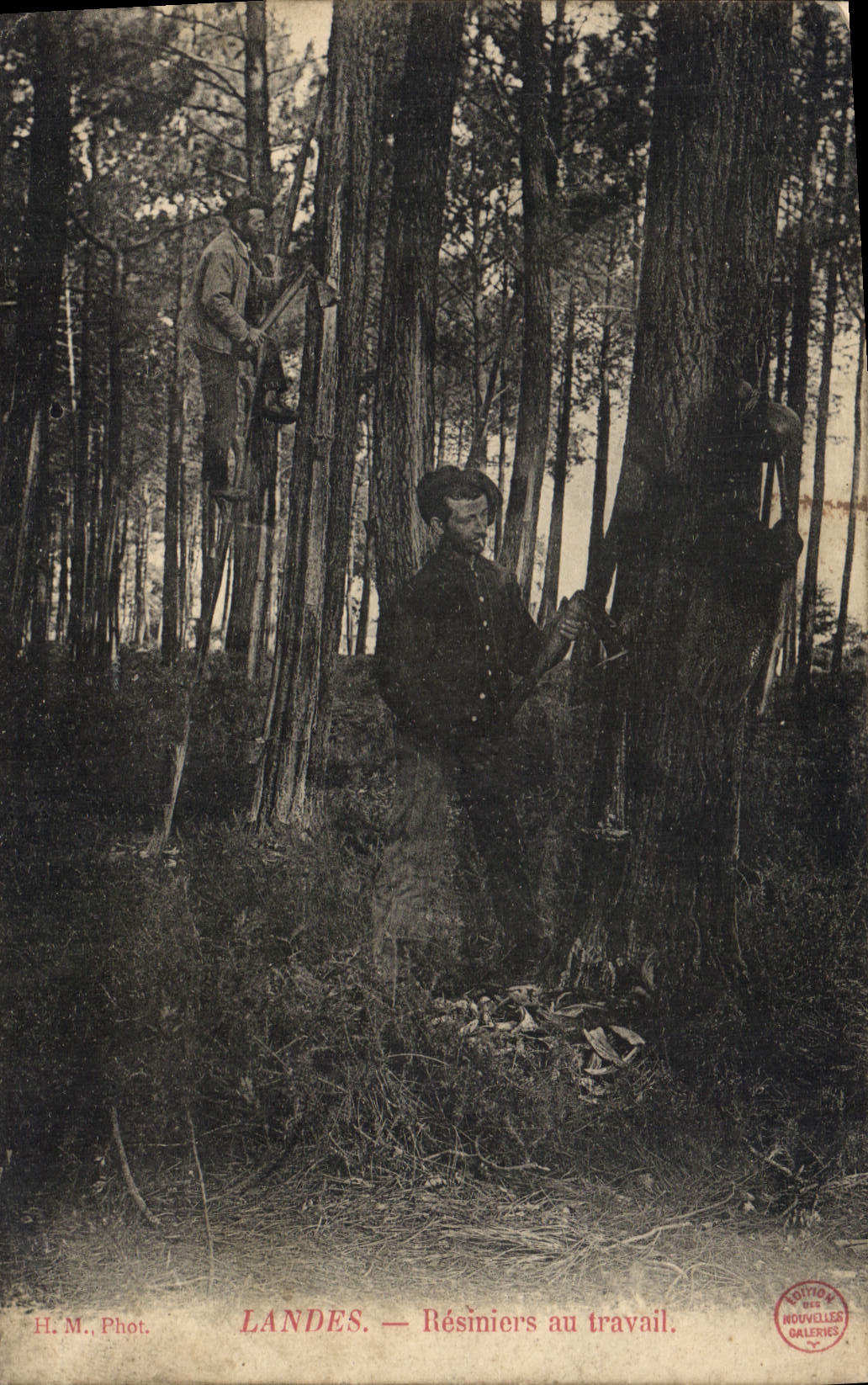 CPA Landes Resiniers au travail (Folklore) TOP