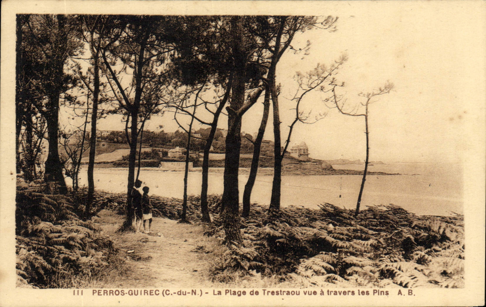 CPA Perros Guirec C du N La Plage de Trestraou vue a travers les Pins 