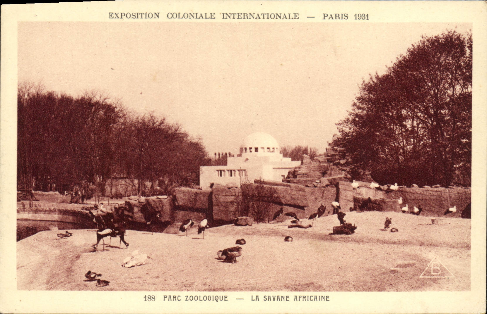 CPA Exposition Coloniale Internationale Paris 1931 Parc Zoologique La Savane Africaine 