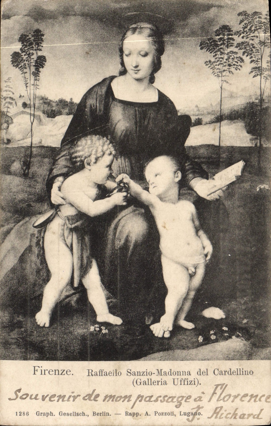 CPA Firenze Raffaelo Sanzio Madonna del Cardellino 
