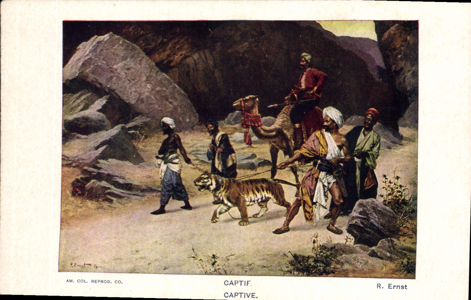 CPA Captif  Ernst Tigre Chameau