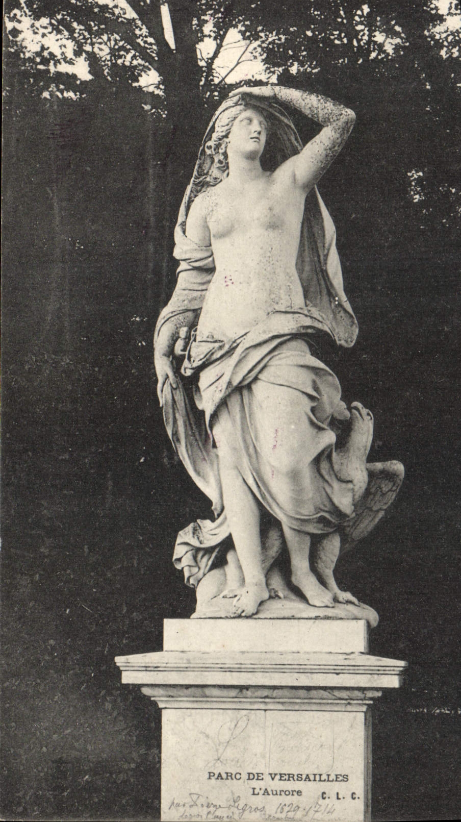 CPA Parc de Versailles L'Aurore 