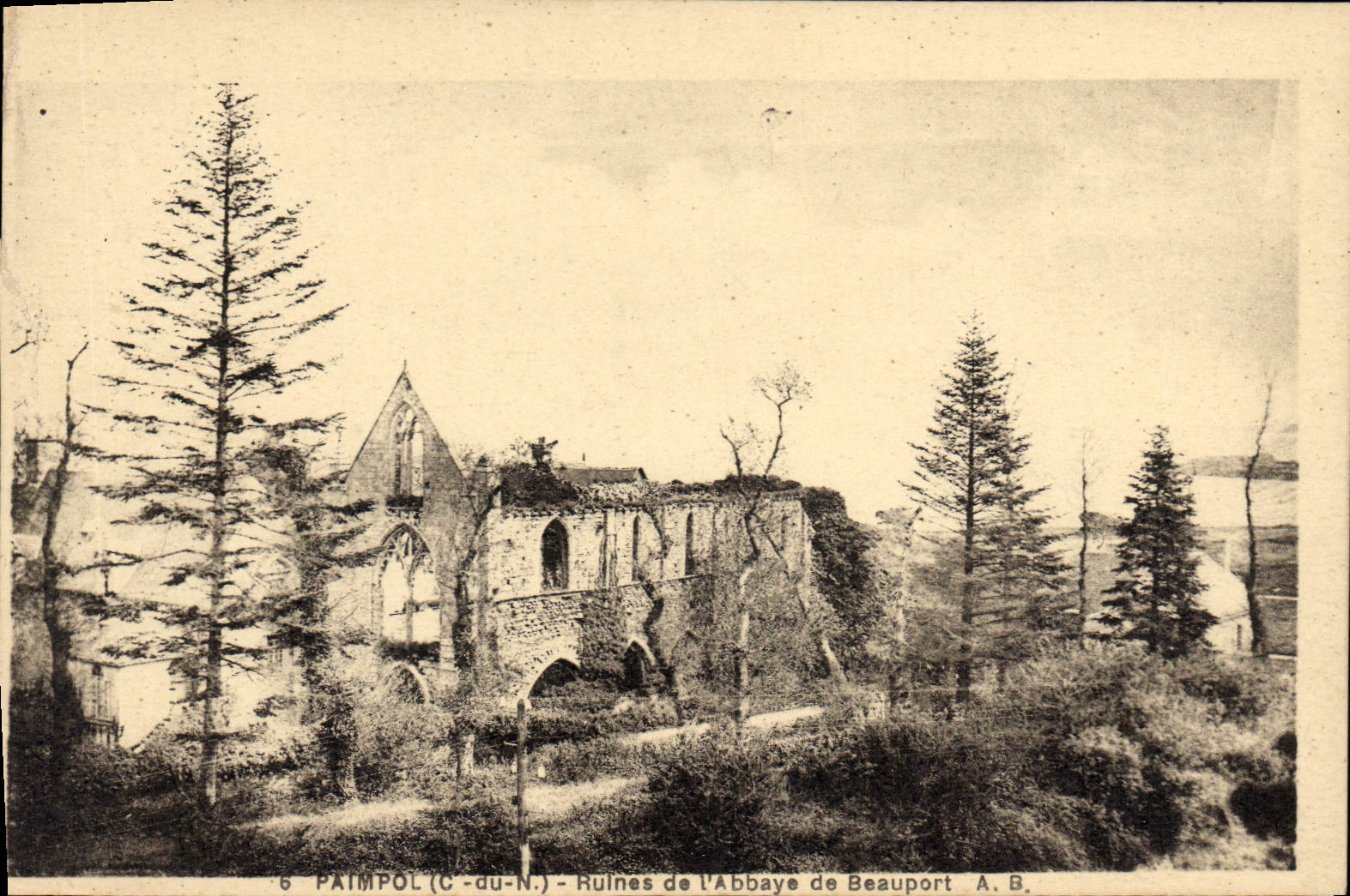 CPA Paimpol Ruines ds l'Abbaye de Beauport