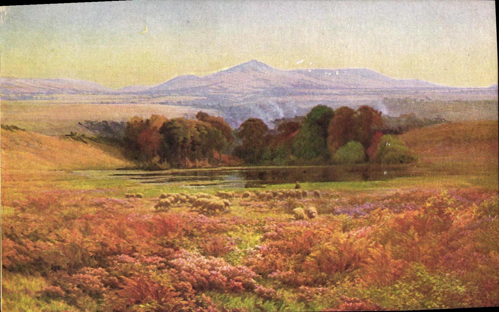 CPA Pail Le soir au Mont Sabot