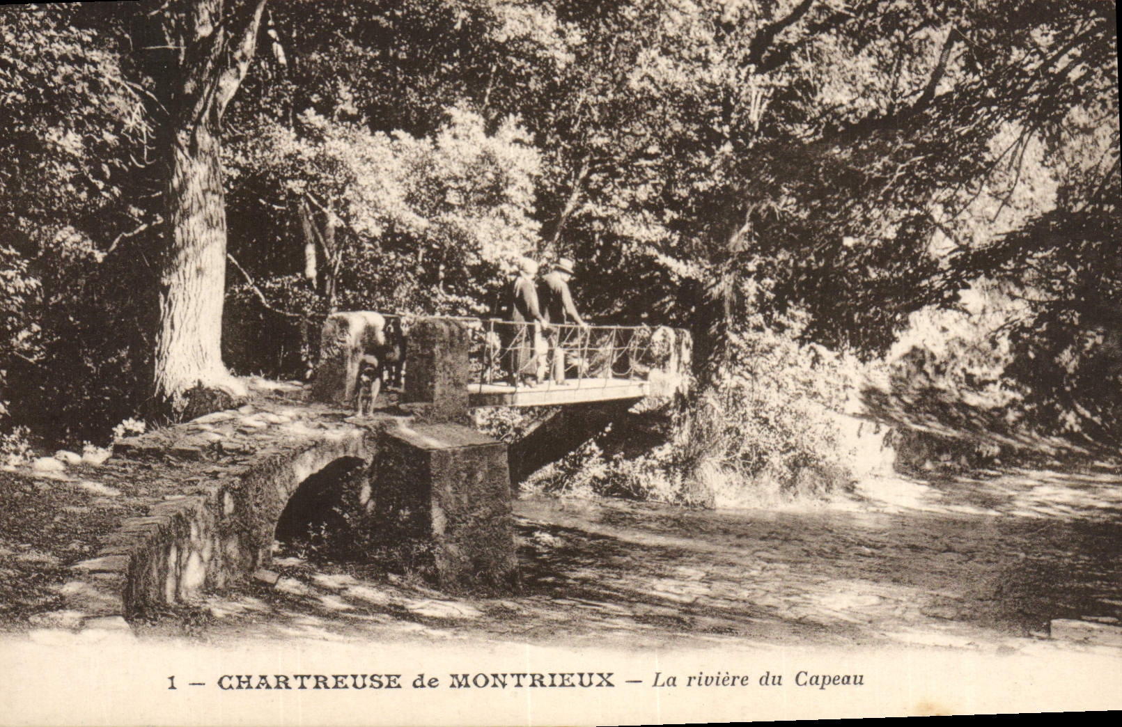 CPA Chartreuse de Montrieux La riviere du Capeau 