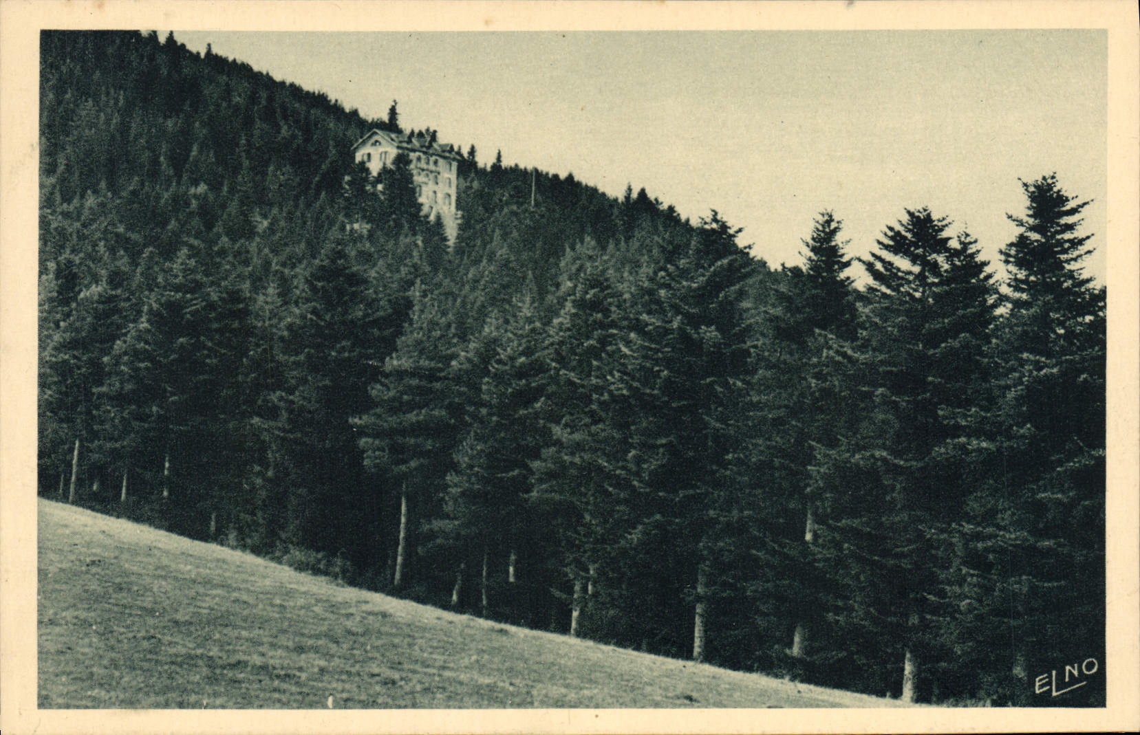 CPA La Louvesc L'Hotel du Mont Besset dans les bois