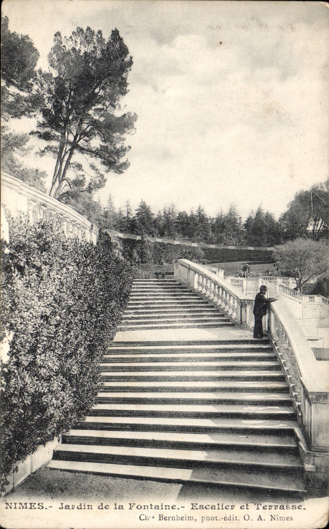 CPA Nimes Jardin de la Fontaine Escalier et Terrasse 