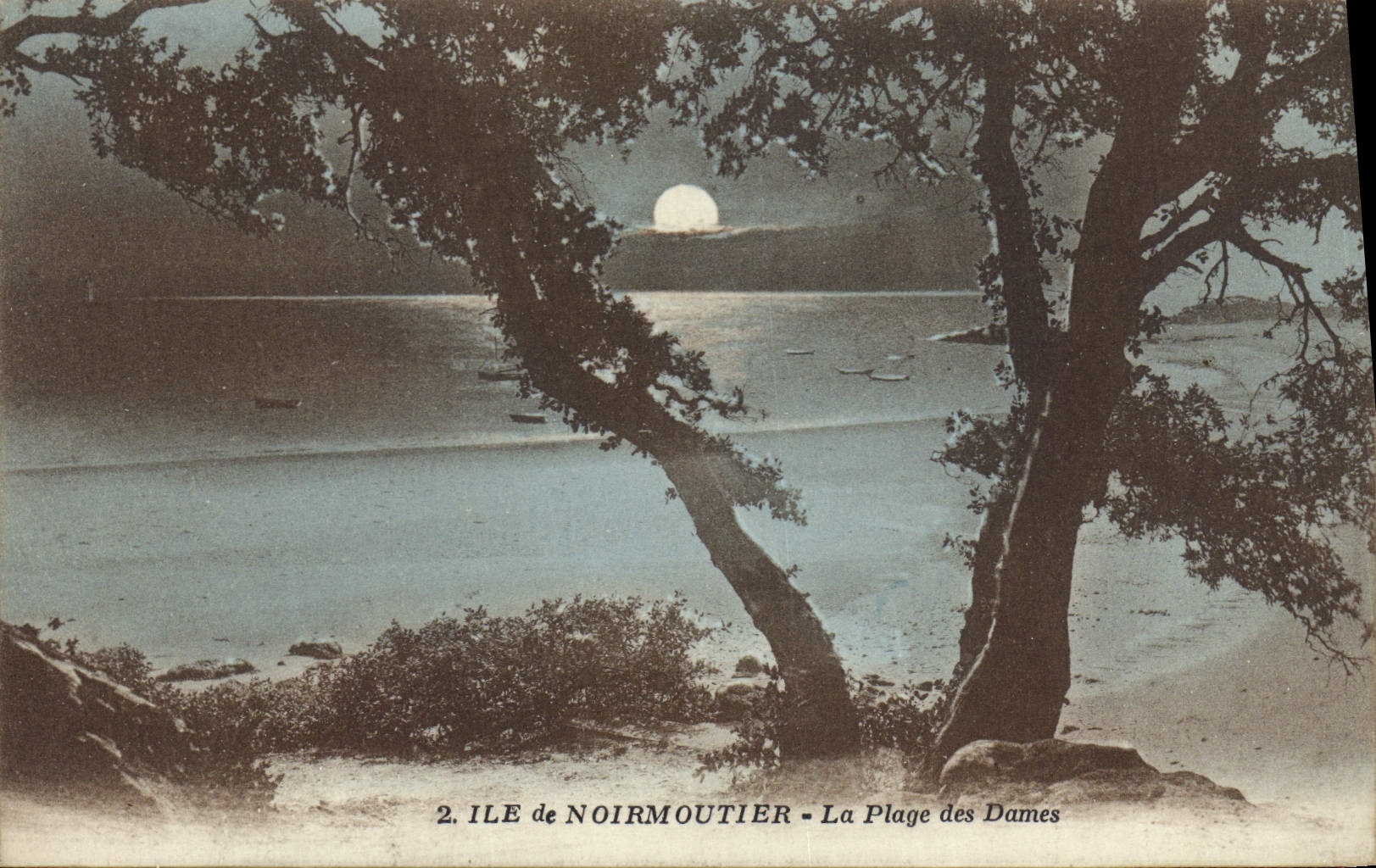 CPA Ile de Noirmoutier La Plage des Dames 