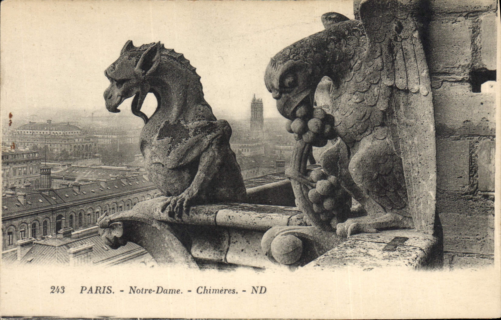 CPA Paris Notre Dame Chimeres