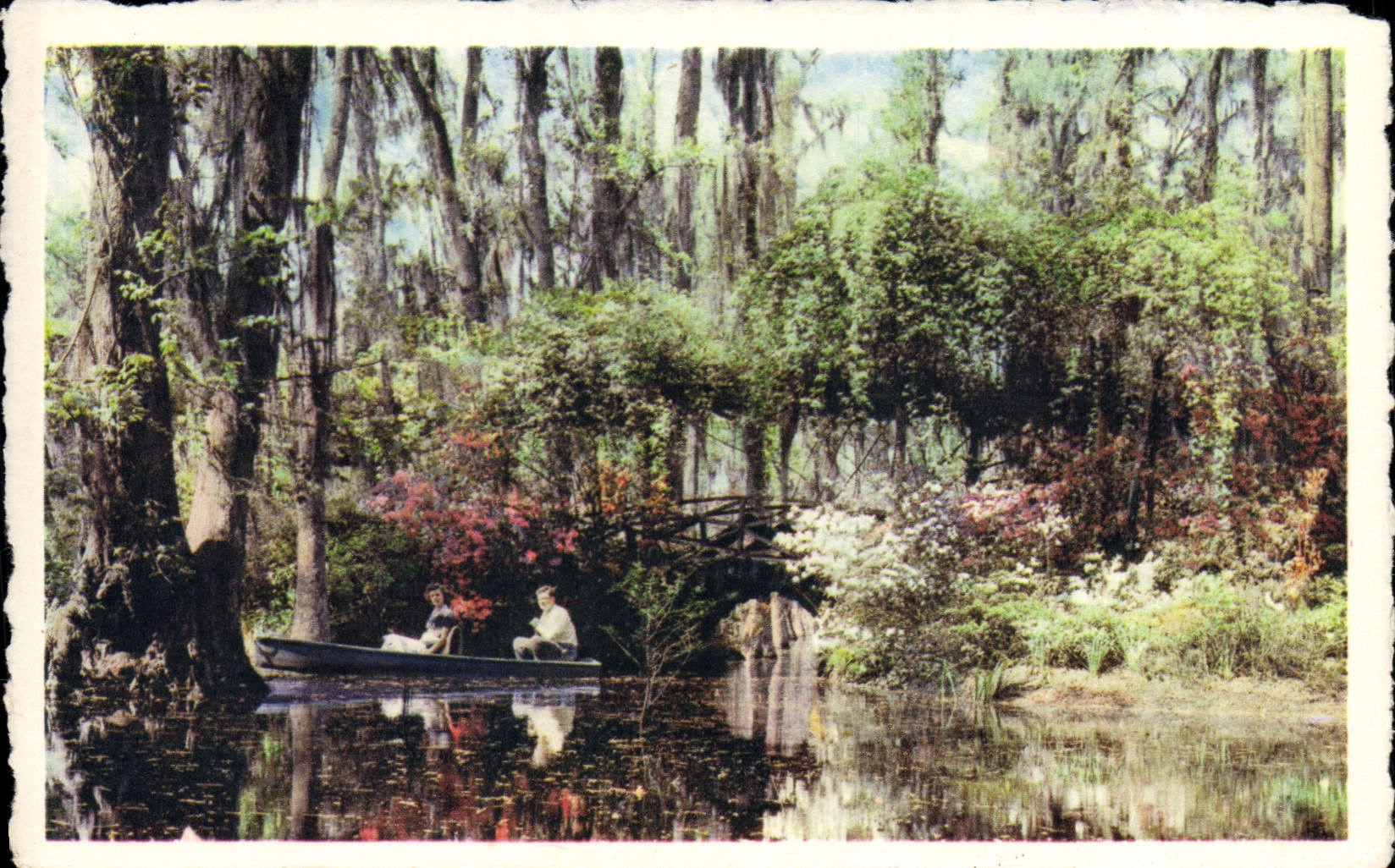 CPA Cypress Gardens Oakley South Caroline Route 52 Twenty four miles North of Charleston