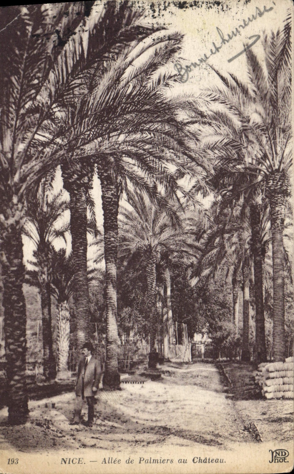 CPA Nice Allee de Palmiers au Chateau