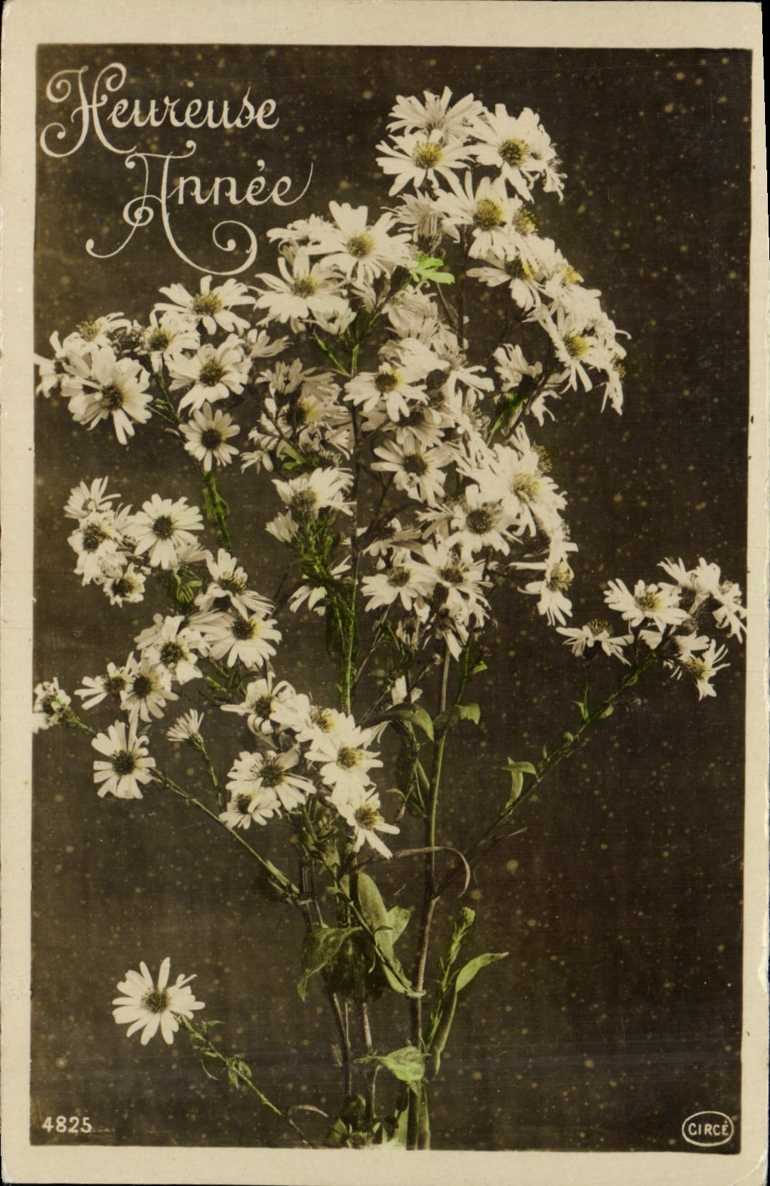 CPA Fantaisie Fleurs