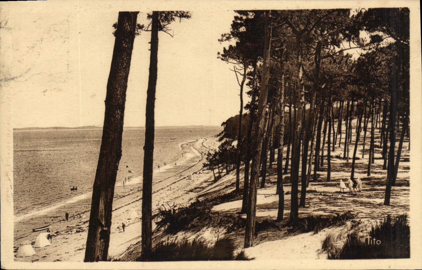 CPA Bassin d'Arcachon Le Moulleau (Cote d'Argent) Les Abatilles la Plage