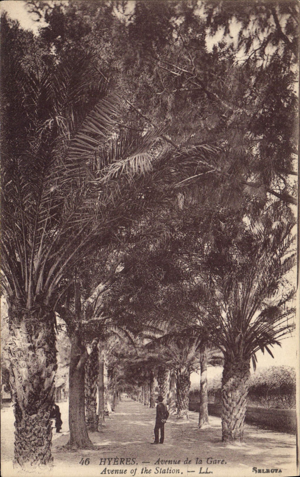 CPA Hyeres Avenue de la Gare