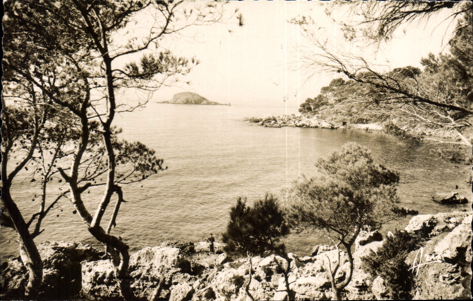 CPA Bandol (Var) Cote d'Azur L'Ile Rousse