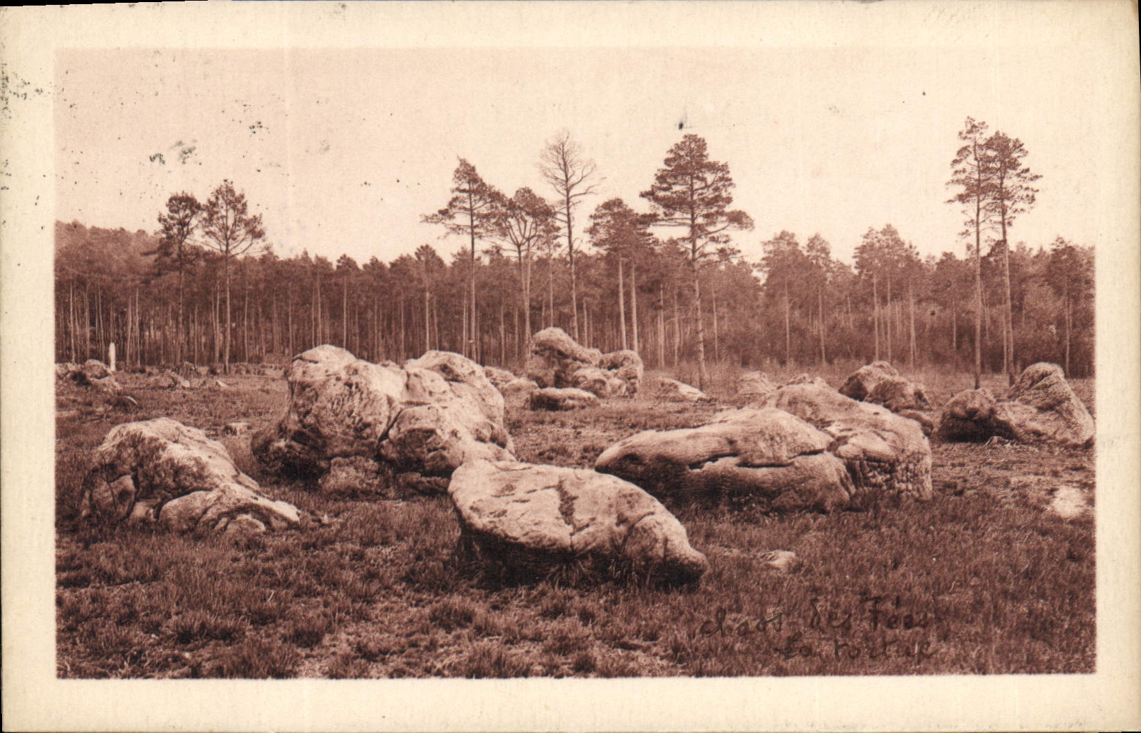 CPA Foret de Fontainebleau Chaos des Fees La Tortues