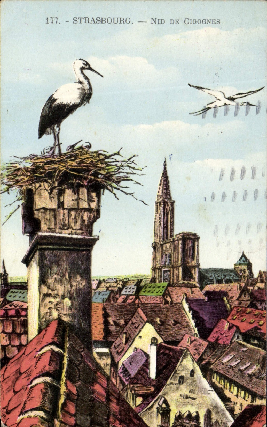 CPA Strasbourg Nid de Cigognes