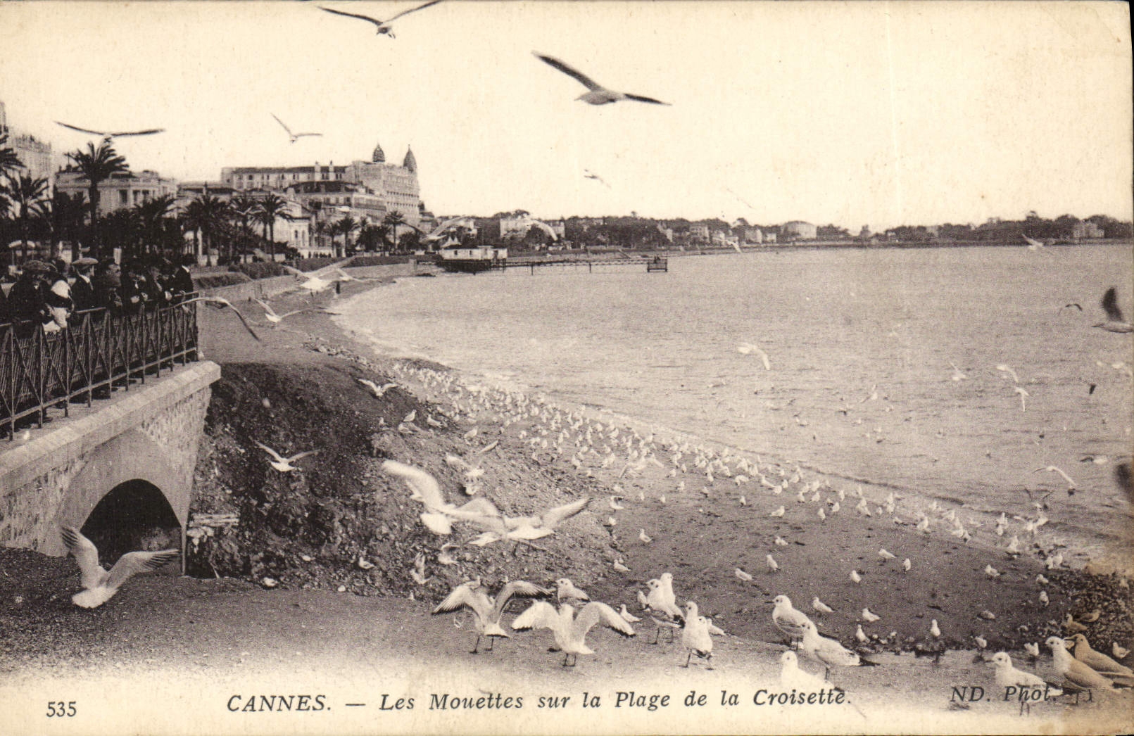 CPA Cannes Les Mouettes sur la Plage de la Croisette