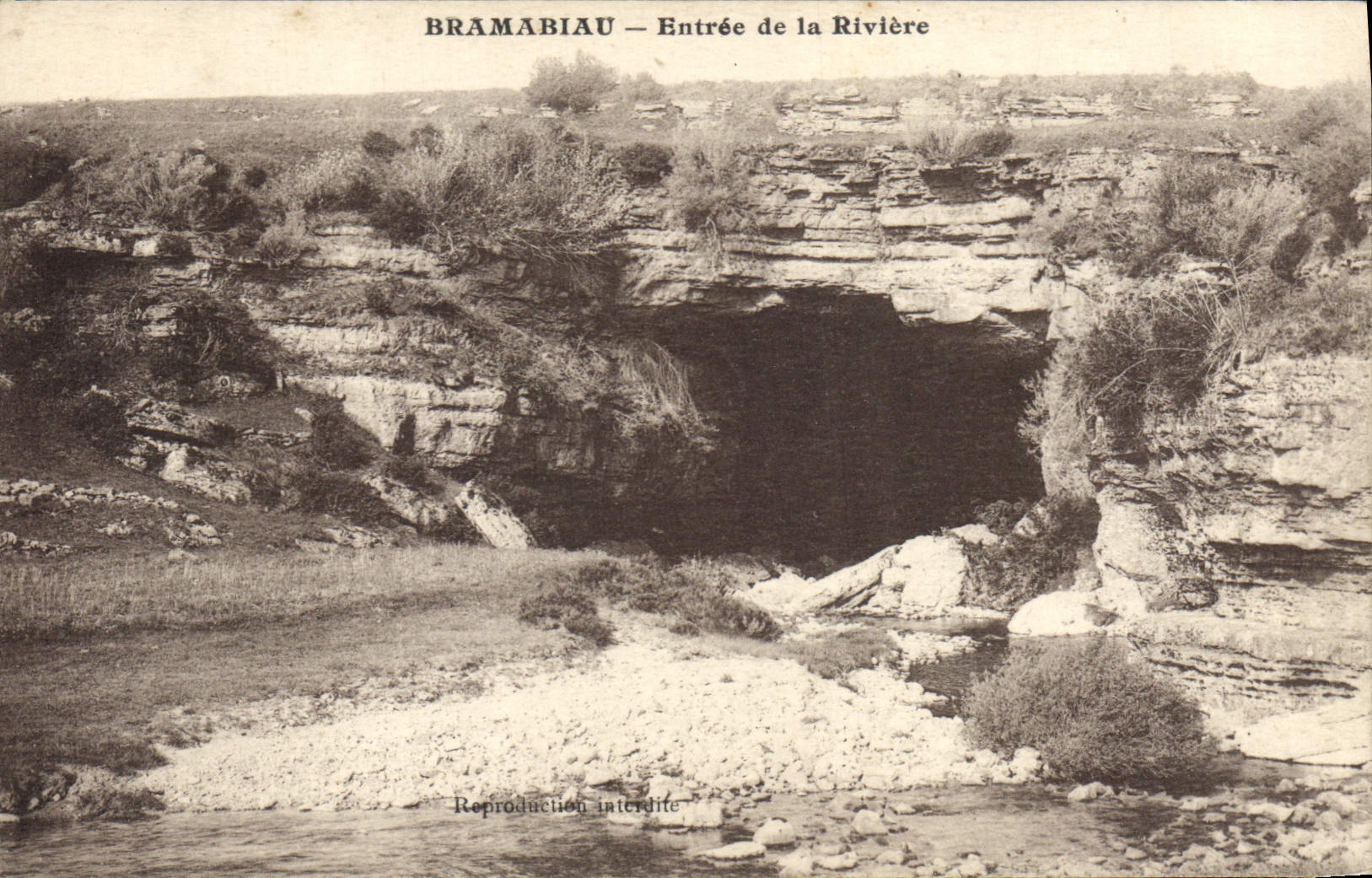 CPA Bramabiau Entree de la Riviere 