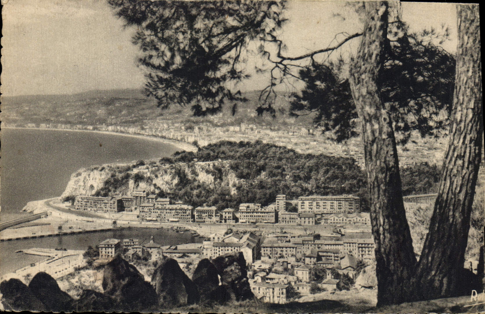 CPA Nice vu depuis le Mont Boron 