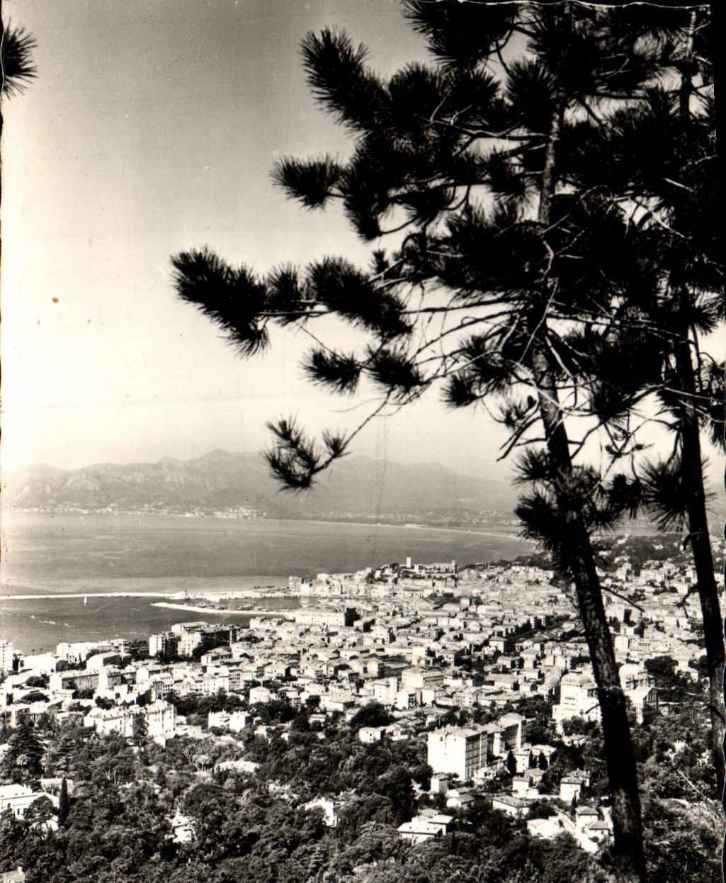 CPA Cannes vue generale pris de la Californie 
