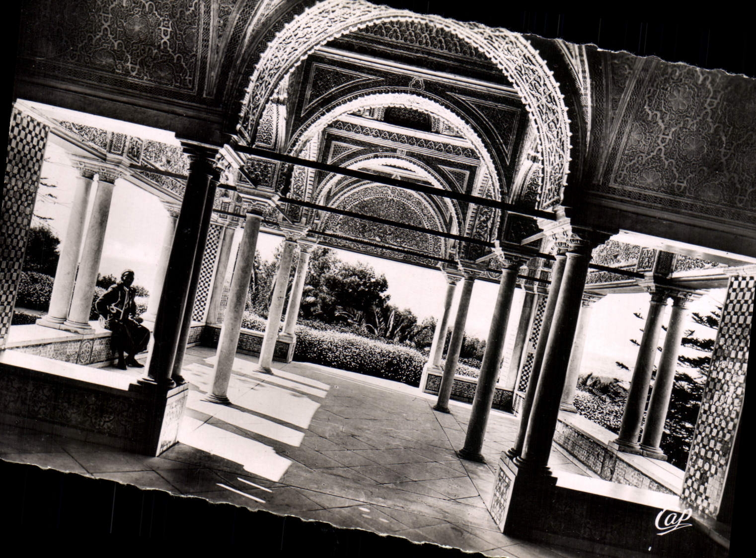 CPA Tunis Le Belvedere la Kouba 