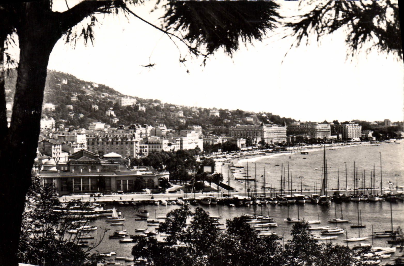 CPM Cannes Vue du casino et du Port 
