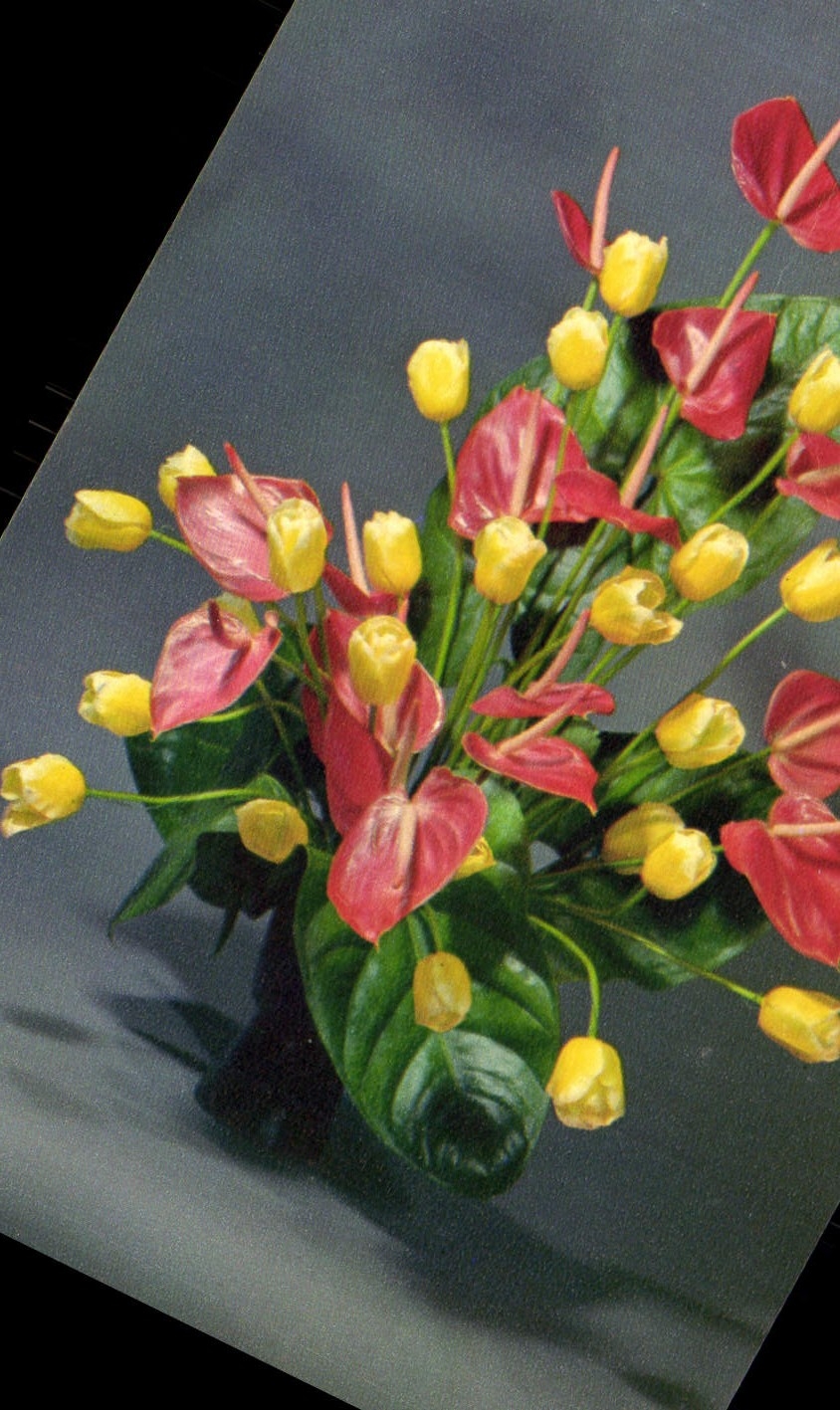 CPM Fantaisie Fluers