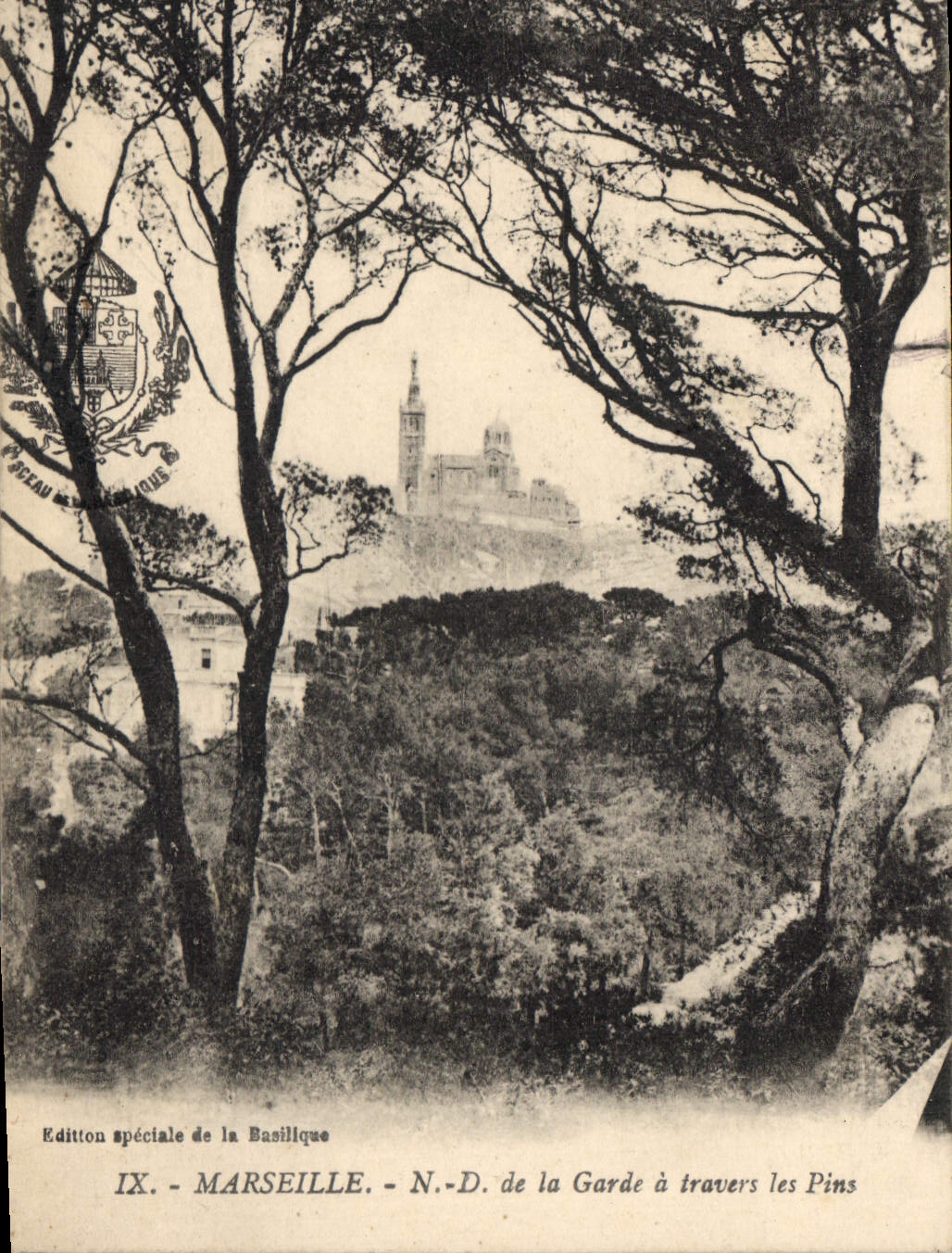 CPA Marseille Notre Dame de la Garde a travers les Pins 
