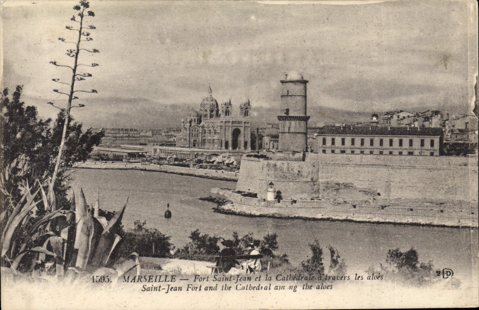 CPA Marseille Fort Saint Jean et la cathedrale a travers les les aloes