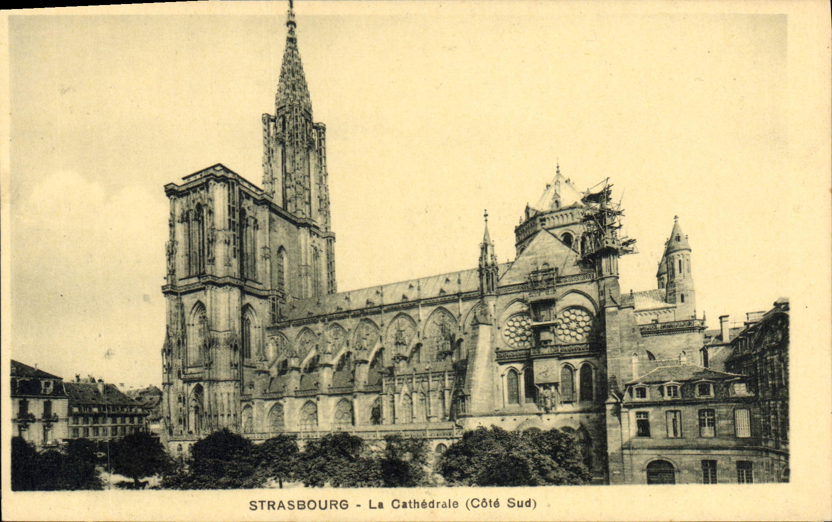 CPA Strasbourg la cathedrale cote sud